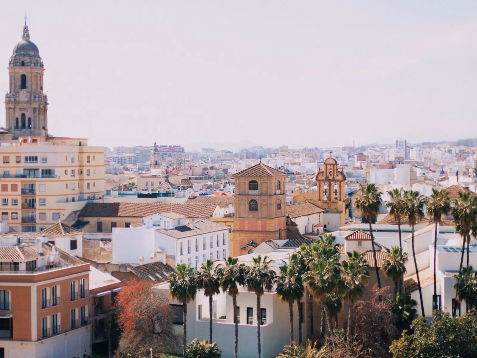 Commercial Property for Sale on the Costa del Sol: A 2026 Buyer’s Guide