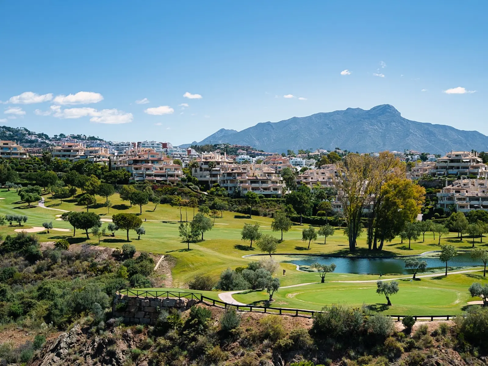 Estepona vs. Marbella: Which Is the Right Costa del Sol Home for You?
